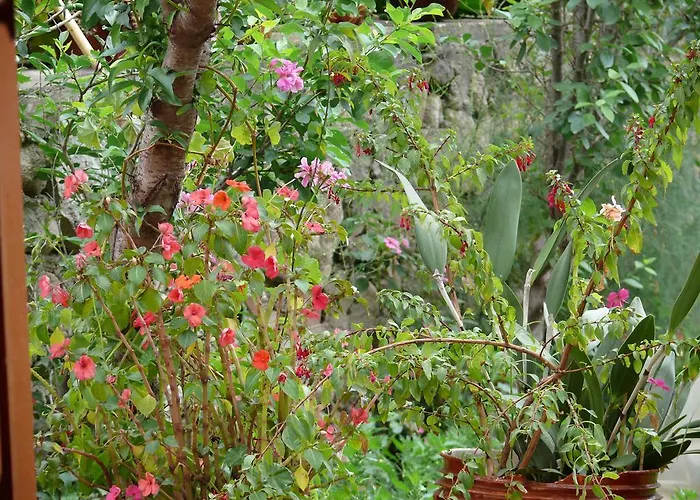 Sacred Valley